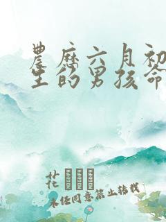 农历六月初一出生的男孩命好吗