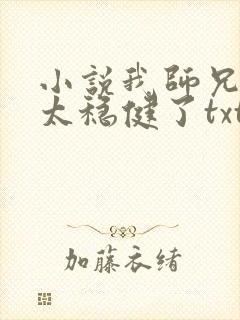 小说我师兄实在太稳健了txt