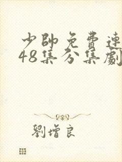 少帅免费连续剧48集分集剧情