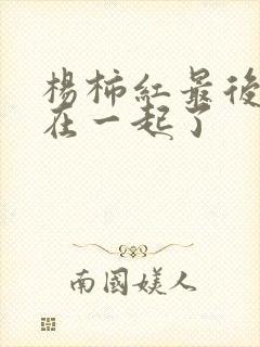 杨柿红最后和谁在一起了