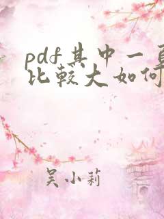 pdf其中一页比较大如何修改