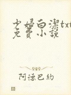 少妇白洁txt免费小说