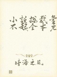 小说总裁爹地惹不起全本免费阅读
