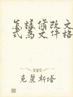 怎样修改文档格式为文件格式