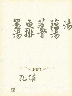 墨鱼莲藕汤莲子汤排骨汤