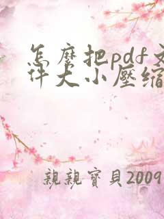怎么把pdf文件大小压缩小一点