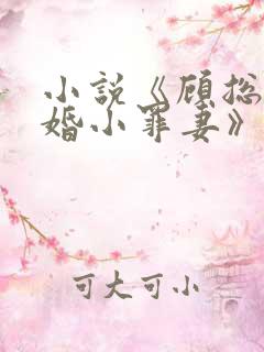 小说《顾总的隐婚小罪妻》