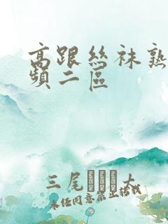 高跟丝袜熟女视频二区