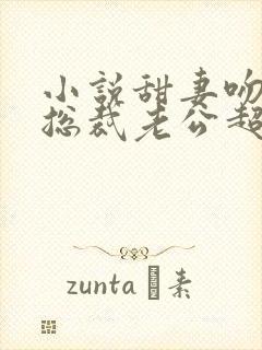 小说甜妻吻安:总裁老公超棒的