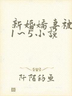 新婚娇妻被黑人1～5小说