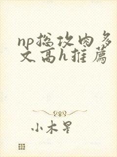 np总攻肉多荤文高h推荐
