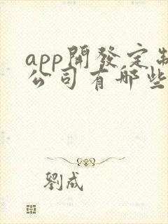 app开发定制公司有哪些