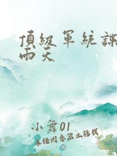 顶级军统谍战片雨天