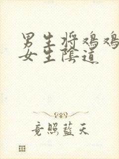 男生将鸡鸡插入女生阴道