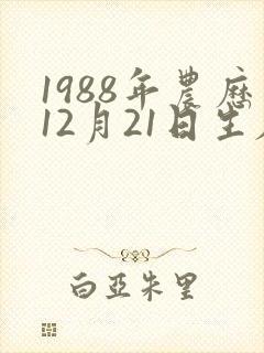 1988年农历12月21日生辰八字