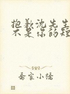 抱歉沈先生孩子不是你的短剧完整版