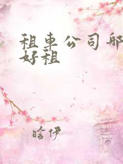 租车公司哪些车好租