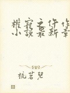 权宠之仵作医妃小说最新章节阅