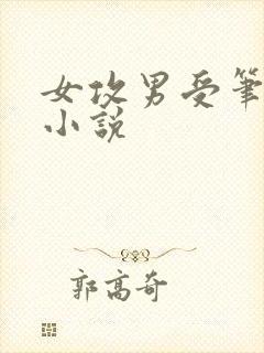 女攻男受笔趣阁小说