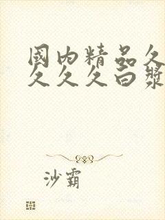 国内精品久久久久久久白浆