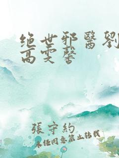绝世邪医刘天齐高雯馨