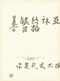 美腿丝袜亚洲综合自拍