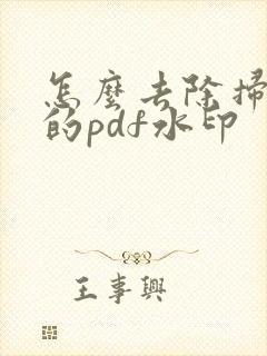 怎么去除扫描王的pdf水印