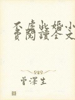 不虚此婚小说免费阅读全文