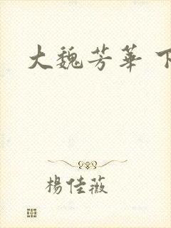 大魏芳华 下载