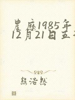 农历1985年12月21日五行八字