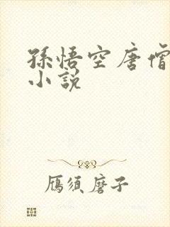 孙悟空唐僧同人小说