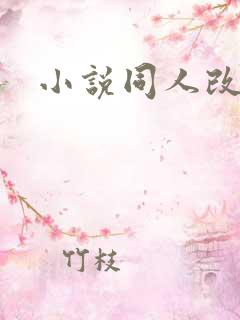 小说同人改编