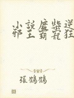 小说废柴逆天:邪王霸宠狂妃