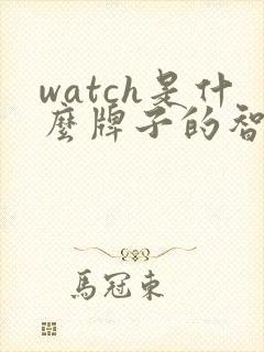 watch是什么牌子的智能手表