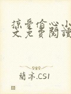 掠爱偷心小说全文免费阅读