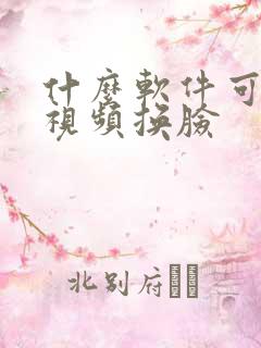 什么软件可以把视频换脸