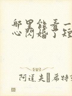 哪里能看一不小心闪婚了短剧