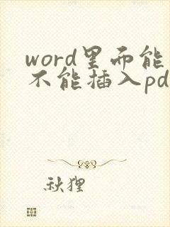 word里面能不能插入pdf文件