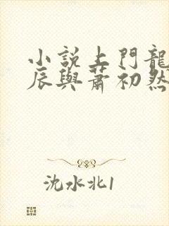 小说上门龙婿叶辰与萧初然