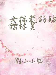 女总裁的贴身保镖林昊