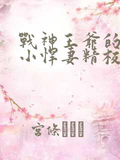 战神王爷的甜宠小悍妻精校版