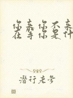 你来你不来我都在等你是什么歌曲