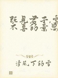 既见君子,云胡不喜的意思