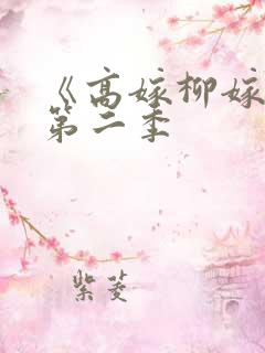 《高嫁柳嫁家》第二季