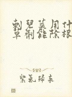 刺儿菜用什么除草剂能除根