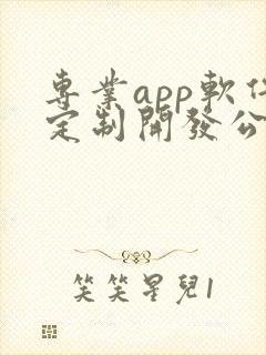 专业app软件定制开发公司