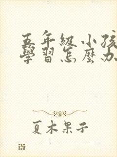 五年级小孩不爱学习怎么办