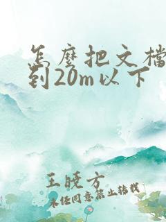 怎么把文档压缩到20m以下