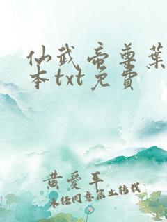仙武帝尊叶辰全本txt免费