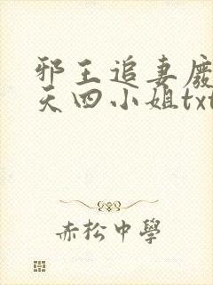 邪王追妻废材逆天四小姐txt
